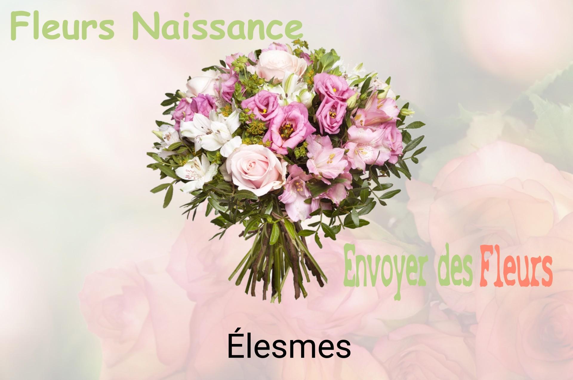Bouquet de fleurs de naissance livré à Élesmes