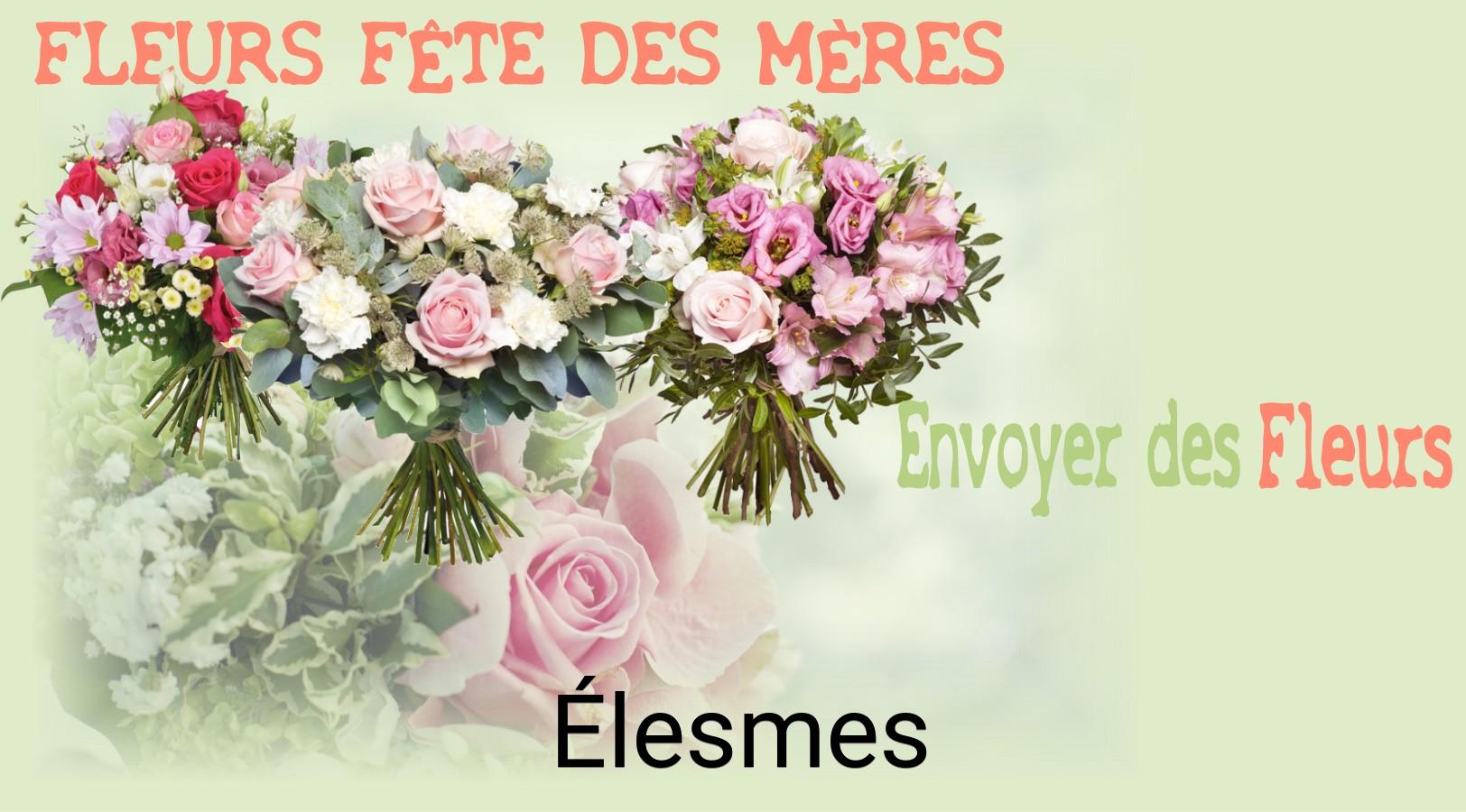 Bouquet de Fête des Mères livré à Élesmes